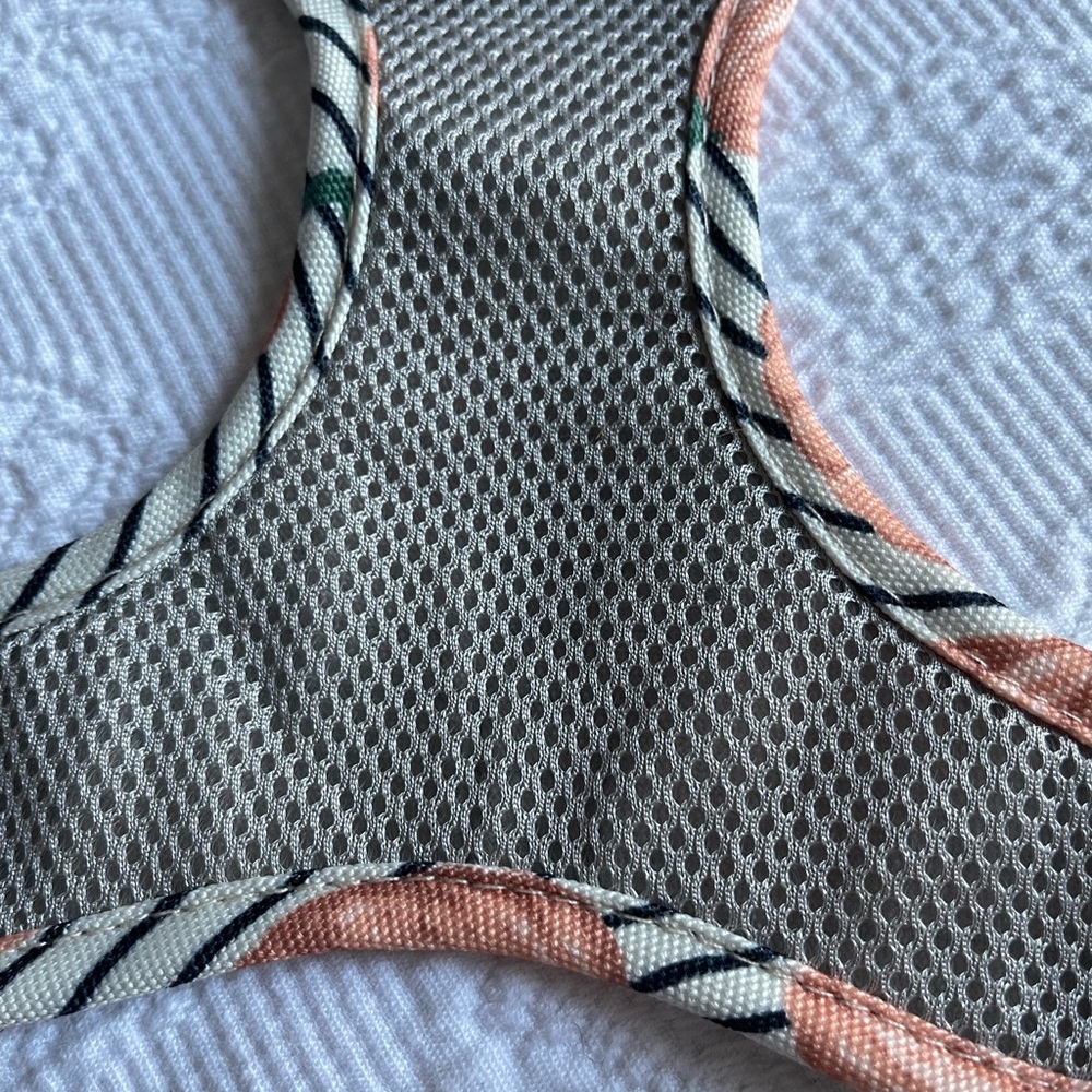 Sydney & Co Pumpkin Fall Dog Harness - Picture 4 of 7